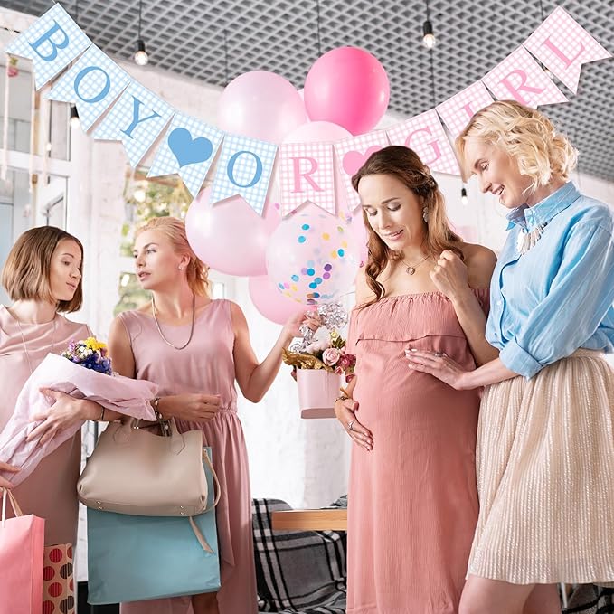 1 Pcs Blue Pink Gingham Boy or Girl Banner for Party Decorations Blue Pink Pre Strung Baby Shower Boy or Girl Gender Reveal Paper Banner for Table, Wall or Mantel Display Party Decor Supplies
