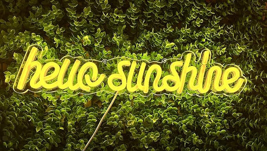 LED Neon Sign Night Light for Wall Party Décor Bedroom Room Bar Wedding Home Birthday Art Decoration Christmas with USB Chain Light modulator 5v (lets party blue)